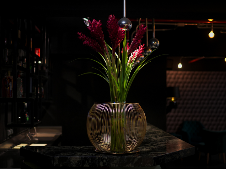 Hoteles Britania | Lima | 12