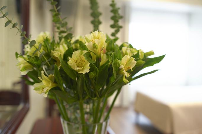 Hoteles Britania | Lima |  - 1