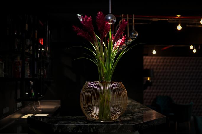 Hoteles Britania | Lima | - 28