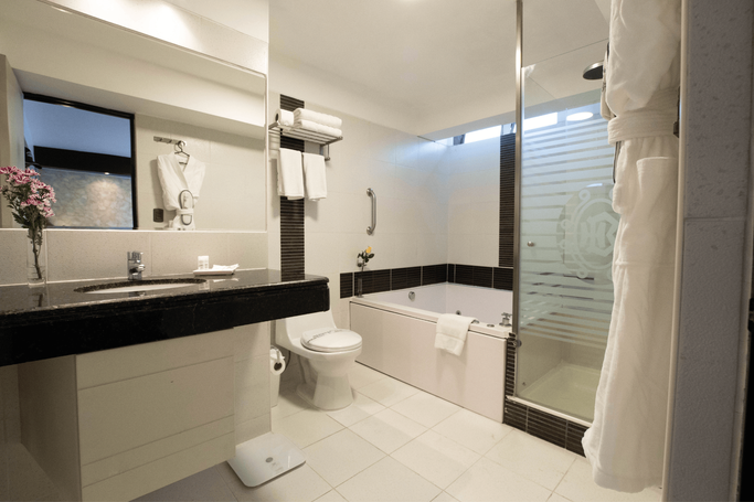 Hoteles Britania | Lima |  - 29